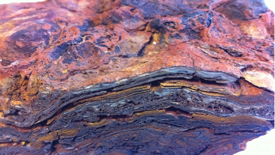 Dresser Formasiyalı stromatolit nümunəsi